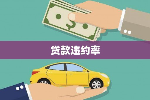 南皮贷款违约率