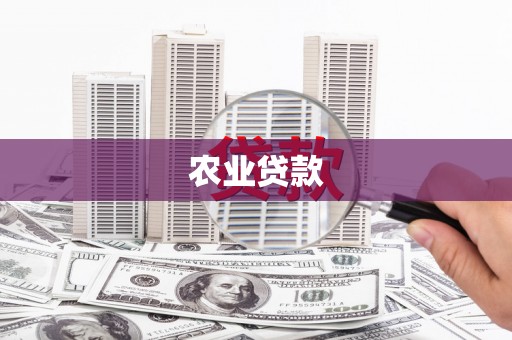 聂荣农业贷款