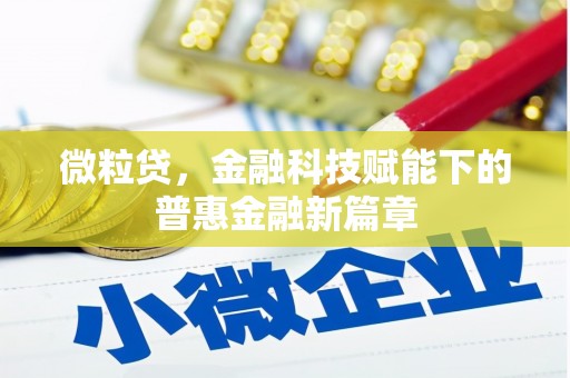 瑞芳微粒贷，金融科技赋能下的普惠金融新篇章