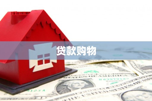 泗阳贷款购物
