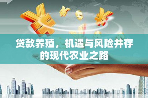 安定贷款养殖，机遇与风险并存的现代农业之路