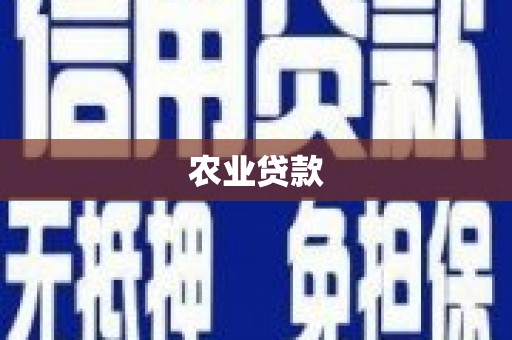勐海农业贷款