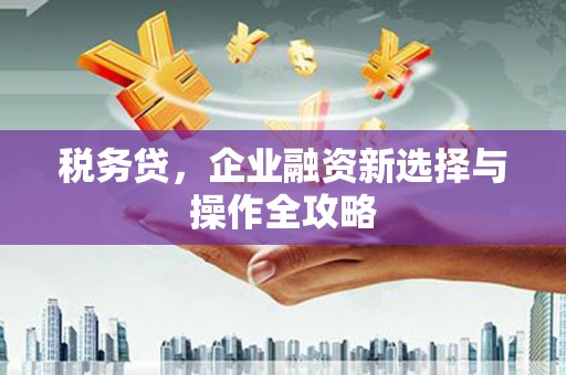 凤林税务贷，企业融资新选择与操作全攻略