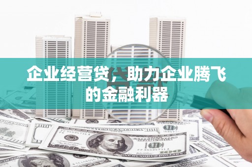龙岗企业经营贷，助力企业腾飞的金融利器
