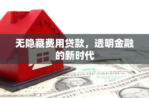 南海无隐藏费用贷款，透明金融的新时代