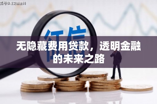 云龙无隐藏费用贷款，透明金融的未来之路