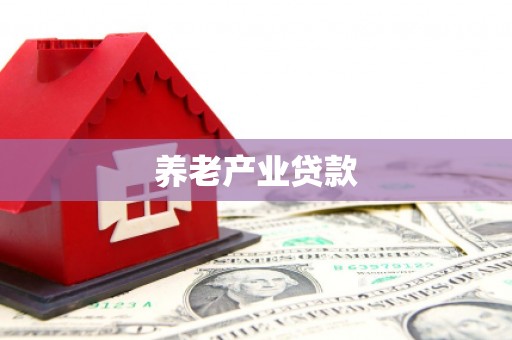 彝良养老产业贷款