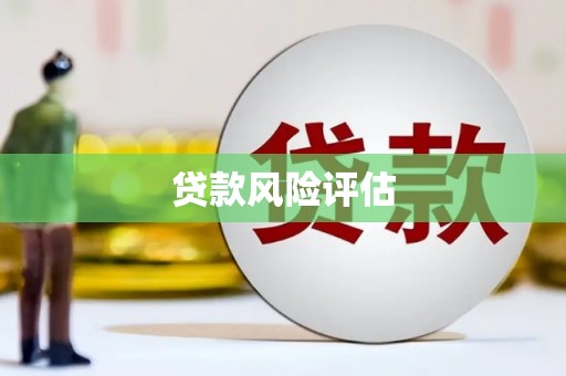 达坂城贷款风险评估
