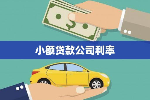 金安小额贷款公司利率