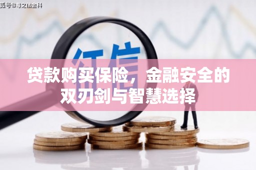 晋中贷款购买保险，金融安全的双刃剑与智慧选择