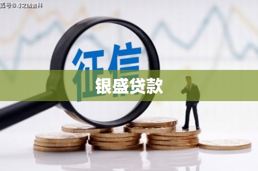 玉树银盛贷款