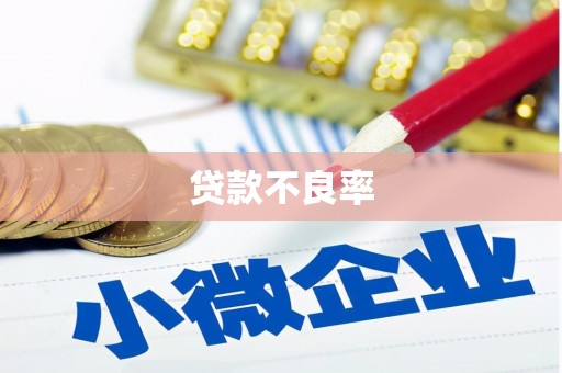 中寮贷款不良率