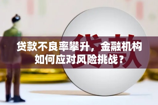 云和贷款不良率攀升，金融机构如何应对风险挑战？