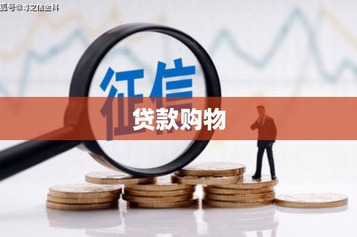 两当贷款购物