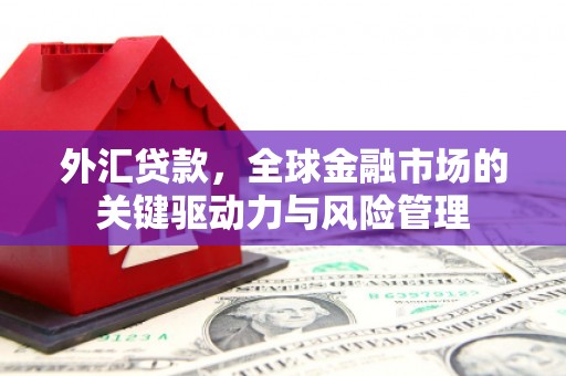 礼县外汇贷款，全球金融市场的关键驱动力与风险管理