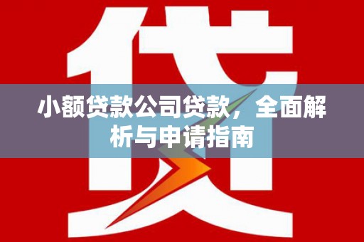 天河小额贷款公司贷款，全面解析与申请指南