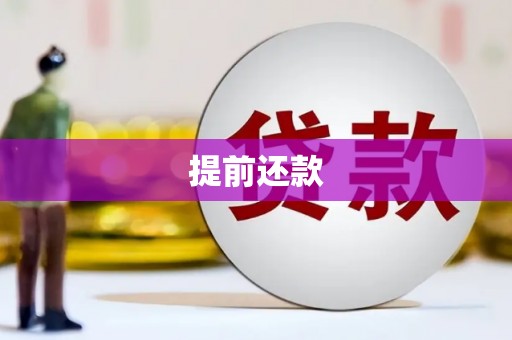 磐安提前还款