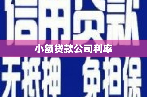 镇远小额贷款公司利率
