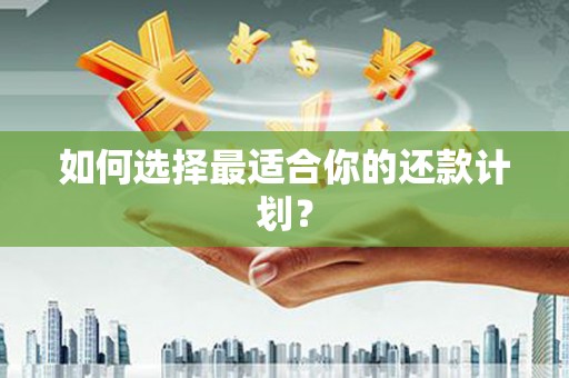 内湖如何选择最适合你的还款计划？