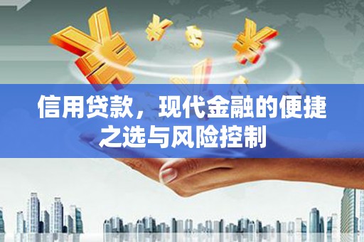 龙游信用贷款，现代金融的便捷之选与风险控制