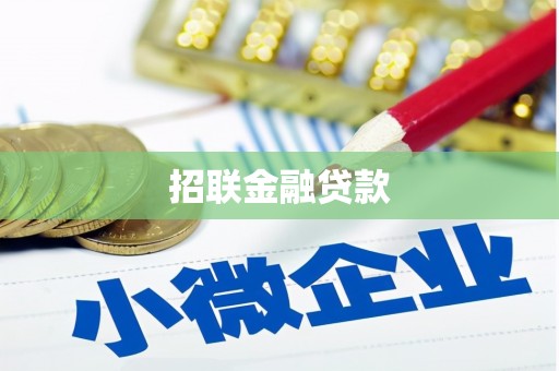 带岭招联金融贷款