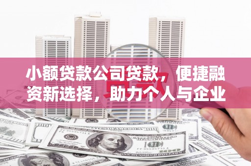 田林小额贷款公司贷款，便捷融资新选择，助力个人与企业成长