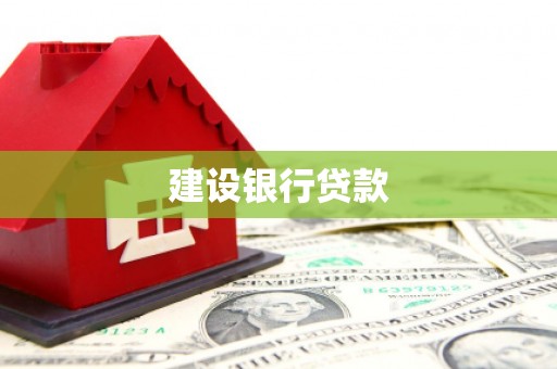 聂荣建设银行贷款