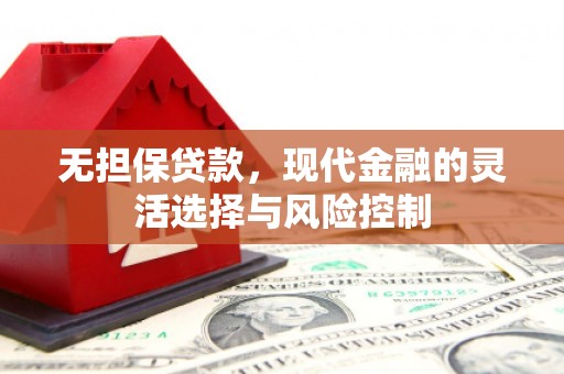 临漳无担保贷款，现代金融的灵活选择与风险控制
