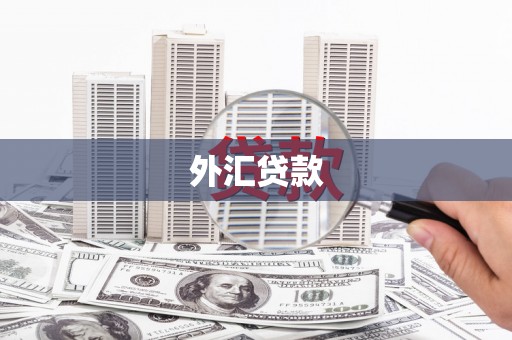 泌阳外汇贷款