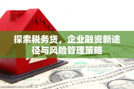 魏县探索税务贷，企业融资新途径与风险管理策略