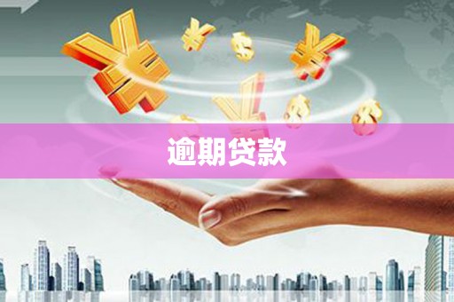 成县逾期贷款