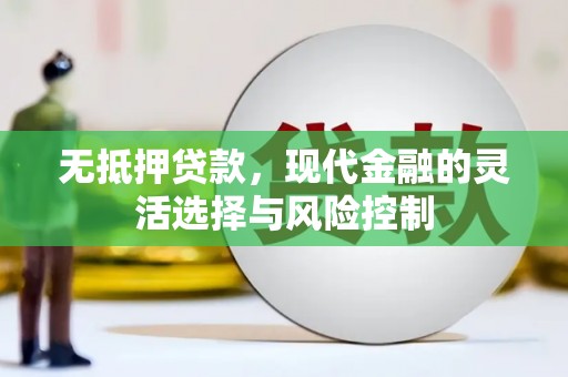 洋县无抵押贷款，现代金融的灵活选择与风险控制