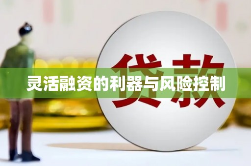 汾阳灵活融资的利器与风险控制