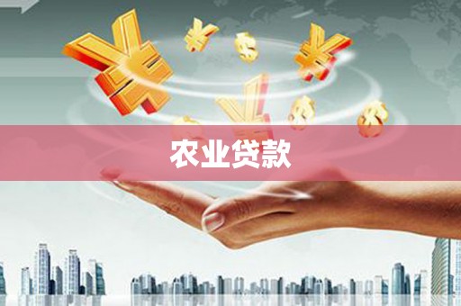 大甲农业贷款