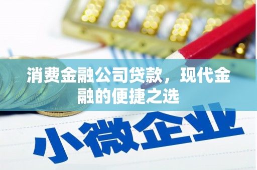 嘉兴消费金融公司贷款，现代金融的便捷之选