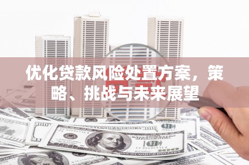 盐埕优化贷款风险处置方案，策略、挑战与未来展望