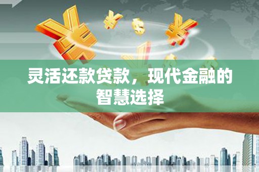 射阳灵活还款贷款，现代金融的智慧选择