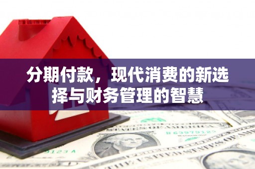 新蔡分期付款，现代消费的新选择与财务管理的智慧
