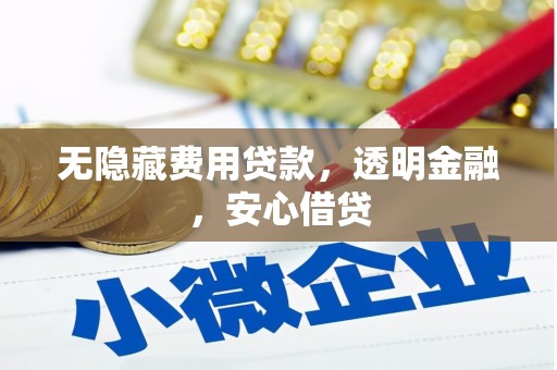布拖无隐藏费用贷款，透明金融，安心借贷