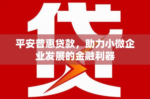 阿巴嘎旗平安普惠贷款，助力小微企业发展的金融利器