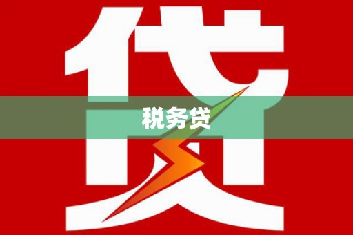 常山税务贷