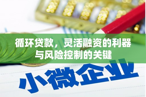 京口循环贷款，灵活融资的利器与风险控制的关键