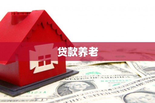南投市贷款养老
