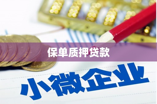 船营保单质押贷款