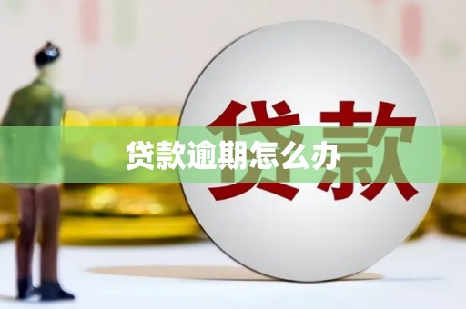 枋寮贷款逾期怎么办