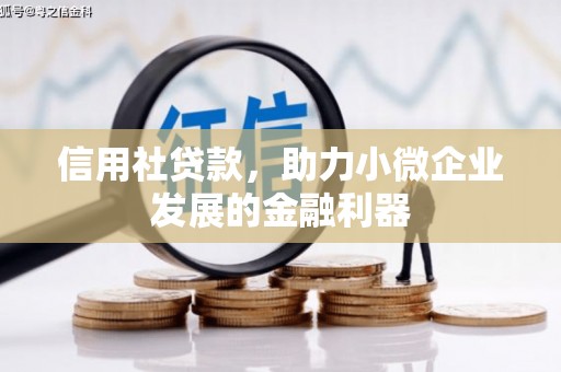 滦南信用社贷款，助力小微企业发展的金融利器