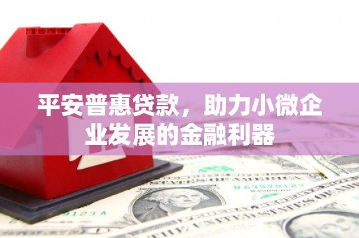 仁和平安普惠贷款，助力小微企业发展的金融利器