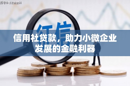 宛城信用社贷款，助力小微企业发展的金融利器