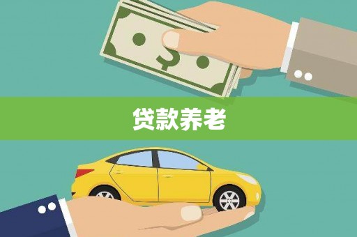 游仙贷款养老