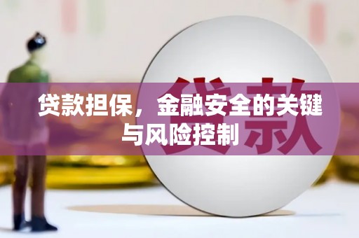 山海关贷款担保，金融安全的关键与风险控制